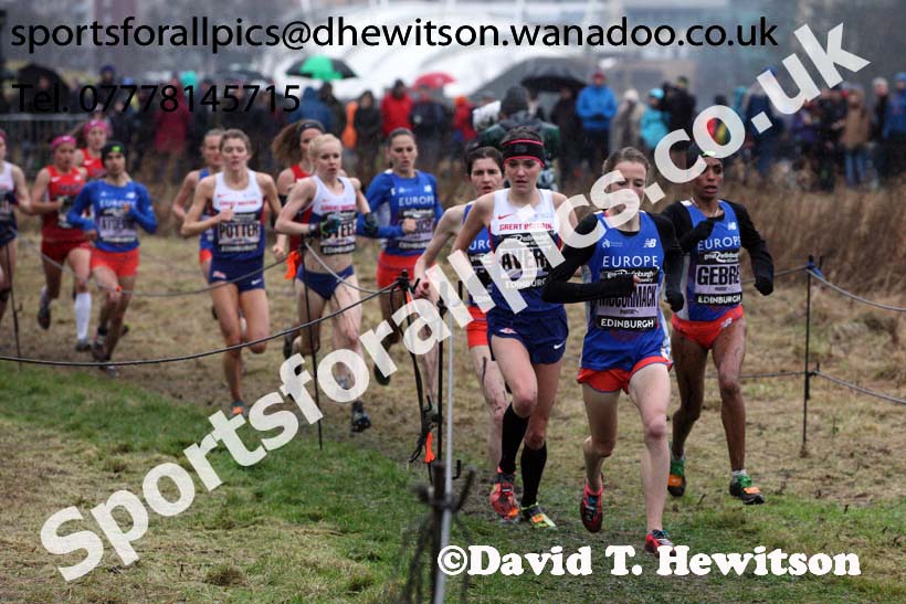Senior womens Great Edinburgh Cross Country. Photo: David T. Hewitson/Sports for All Pics